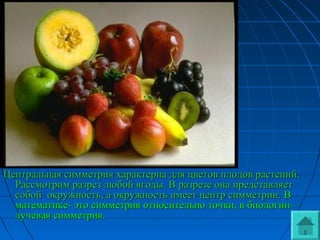 3.Центральная3.Центральная
симметриясимметрия
Центральная симметрия характерна для цветов плодов растений.Центральная симметрия характерна для цветов плодов растений.
Рассмотрим разрез любой ягоды. В разрезе она представляетРассмотрим разрез любой ягоды. В разрезе она представляет
собой окружность, а окружность имеет центр симметрии.собой окружность, а окружность имеет центр симметрии. ВВ
математике- это симметрия относительно точки, в биологии –математике- это симметрия относительно точки, в биологии –
лучевая симметрия.лучевая симметрия.
 