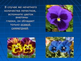 В случае же нечетногоВ случае же нечетного
количества лепестков,количества лепестков,
вспомните цветоквспомните цветок
анютиныанютины
глазки, он обладаетглазки, он обладает
толькотолько осевойосевой
симметриейсимметрией..
 