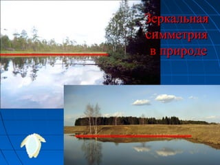 ЗеркальнаяЗеркальная
симметриясимметрия
в природев природе
 