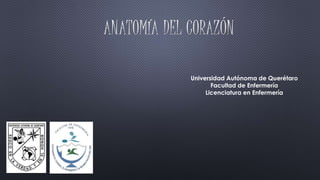 Universidad Autónoma de Querétaro 
Facultad de Enfermería 
Licenciatura en Enfermería 
 