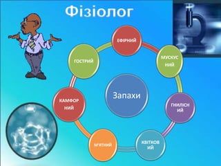 ЕФІРНИЙ 
Запахи 
МУСКУС 
НИЙ 
ГНИЛІСН 
ИЙ 
КВІТКОВ 
ИЙ 
М'ЯТНИЙ 
КАМФОР 
НИЙ 
ГОСТРИЙ 
 