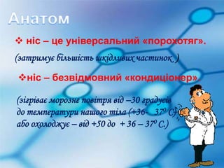  ніс – це універсальний «порохотяг». 
(затримує більшість шкідливих частинок ) 
ніс – безвідмовний «кондиціонер». 
(зігріває морозне повітря від –30 градусів 
до температури нашого тіла (+36- 370 С) 
або охолоджує – від +50 до + 36 – 370 С.) 
 