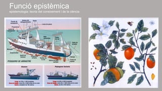 Funció epistèmica 
epistemologia: teoria del coneixement i de la ciència 
 