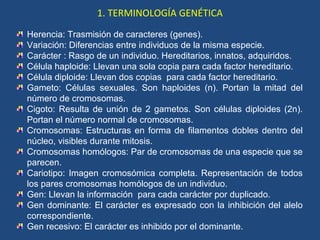 1. TERMINOLOGÍA GENÉTICA 
Herencia: Trasmisión de caracteres (genes). 
Variación: Diferencias entre individuos de la misma...