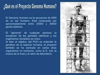 El Genoma Humano es la secuencia de ADN 
de un ser humano. Está compuesto por 
aproximadamente entre 25000 y 30000 
genes distintos. 
El "genoma" de cualquier persona (a 
excepción de los gemelos idénticos y los 
organismos clonados) es único. 
Si bien el objetivo del PGH es entender la 
genética de la especie humana, el proyecto 
también se ha centrado en varios otros 
organismos no humanos, como la E. coli, la 
mosca de la fruta y el ratón de laboratorio. 
 