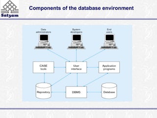 Components of the database environment 
 