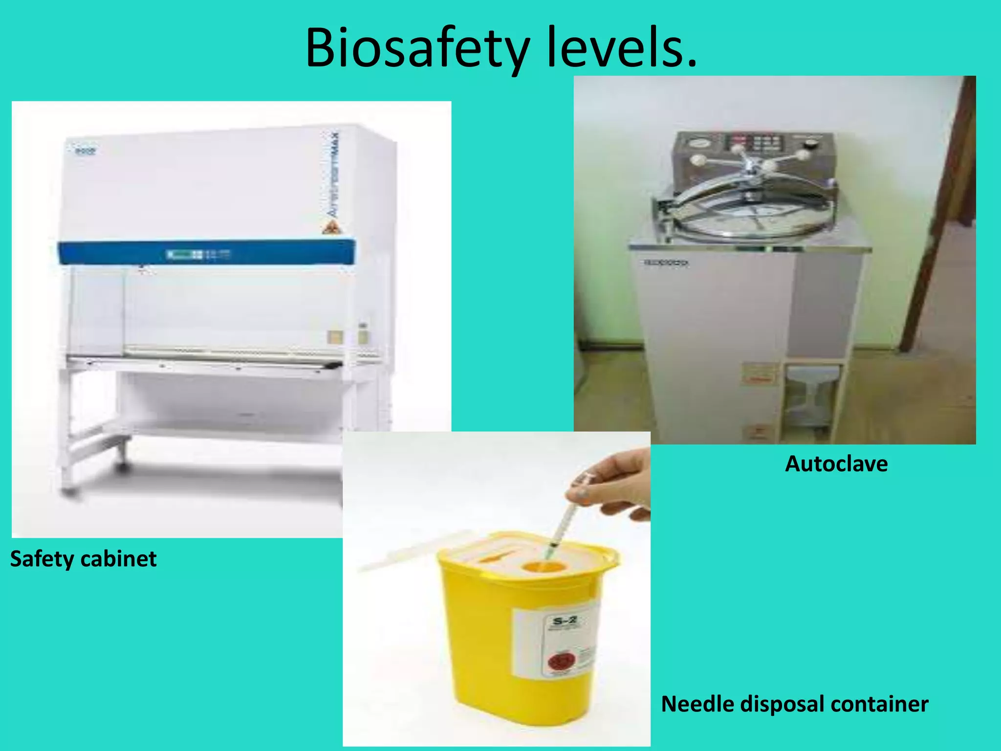 Biosafety levels. 
Safety cabinet 
Autoclave 
Needle disposal container 
 