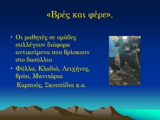 «Βρές και φέρε». 
•Οι μαθητές σε ομάδες συλλέγουν διάφορα αντικείμενα που βρίσκουν στο δασύλλιο 
•Φύλλα, Κλαδιά, Λειχήνες, βρύα, Μανιτάρια 
Καρπούς, Σκουπίδια κ.α. 
 