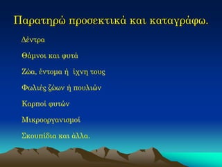 Παρατηρώ προσεκτικά και καταγράφω. 
Δέντρα Θάμνοι και φυτά Ζώα, έντομα ή ίχνη τους Φωλιές ζώων ή πουλιών Καρποί φυτών Μικροοργανισμοί Σκουπίδια και άλλα.  