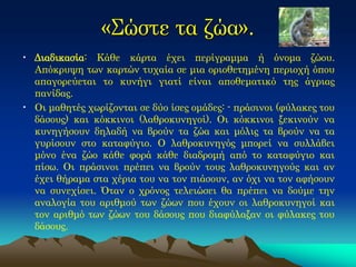 «Σώστε τα ζώα». 
•Διαδικασία: Κάθε κάρτα έχει περίγραμμα ή όνομα ζώου. Απόκρυψη των καρτών τυχαία σε μια οριοθετημένη περιοχή όπου απαγορεύεται το κυνήγι γιατί είναι αποθεματικό της άγριας πανίδας. 
•Οι μαθητές χωρίζονται σε δύο ίσες ομάδες: - πράσινοι (φύλακες του δάσους) και κόκκινοι (λαθροκυνηγοί). Οι κόκκινοι ξεκινούν να κυνηγήσουν δηλαδή να βρούν τα ζώα και μόλις τα βρούν να τα γυρίσουν στο καταφύγιο. Ο λαθροκυνηγός μπορεί να συλλάβει μόνο ένα ζώο κάθε φορά κάθε διαδρομή από το καταφύγιο και πίσω. Οι πράσινοι πρέπει να βρούν τους λαθροκυνηγούς και αν έχει θήραμα στα χέρια του να τον πιάσουν, αν όχι να τον αφήσουν να συνεχίσει. Όταν ο χρόνος τελειώσει θα πρέπει να δούμε την αναλογία του αριθμού των ζώων που έχουν οι λαθροκυνηγοί και τον αριθμό των ζώων του δάσους που διαφύλαξαν οι φύλακες του δάσους.  
