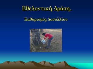 Εθελοντική Δράση. 
Καθαρισμός Δασυλλίου  
