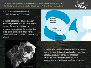 Crostas ricas em cobalto 
Campo hidrotermal 
Nódulos ricos em manganês 
O fundo oceânico é muito rico em matérias primas, que se apresentam sobre a forma de nódulos ou crostas, nomeadamente manganês, ferro e em elementos mais raros como o cobalto, o cobre, o zinco e o níquel. 
A deposição destes materiais é o resultado de um processo de biomineralização : batérias e algas contribuem para esse processo, atuando como biocatalizadores, que promovem a acreção dos nódulos e crostas. 
(© Werner E. G. Müller) 
5. A “plataforma continental administrativa” proposta  