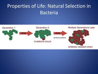 Properties of Life: Natural Selection in 
Bacteria 
 