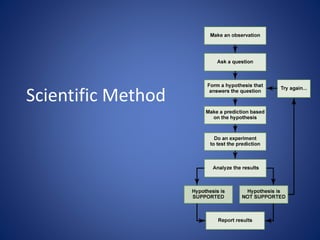 Scientific Method 
 