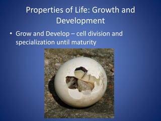 Properties of Life: Growth and 
Development 
• Grow and Develop – cell division and 
specialization until maturity 
 