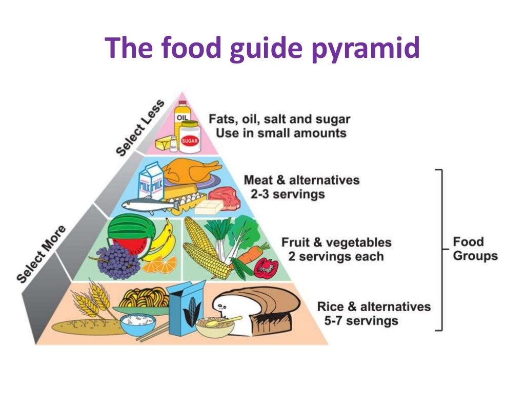 BIOLOGY FORM 4 CHAPTER 6 NUTRITION PART 1