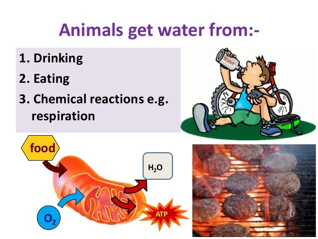 3 Components Of A Healthy Diet Cleverinter 3-components-of-a-healthy-diet-cleverinter