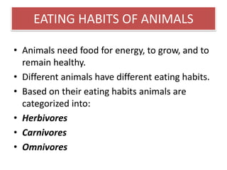 EATING HABITS OF ANIMALS 
• Animals need food for energy, to grow, and to 
remain healthy. 
• Different animals have different eating habits. 
• Based on their eating habits animals are 
categorized into: 
• Herbivores 
• Carnivores 
• Omnivores 
 