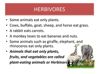 HERBIVORES 
• Some animals eat only plants. 
• Cows, buffalo, goat, sheep, and horse eat grass. 
• A rabbit eats carrots. 
• A monkey loves to eat bananas and nuts. 
• Some animals such as giraffe, elephant, and 
rhinoceros eat only plants. 
• Animals that eat only plants, 
fruits, and vegetables are called 
plant-eating animals or Herbivores. 
 