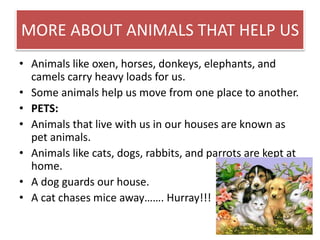 MORE ABOUT ANIMALS THAT HELP US 
• Animals like oxen, horses, donkeys, elephants, and 
camels carry heavy loads for us. 
• Some animals help us move from one place to another. 
• PETS: 
• Animals that live with us in our houses are known as 
pet animals. 
• Animals like cats, dogs, rabbits, and parrots are kept at 
home. 
• A dog guards our house. 
• A cat chases mice away……. Hurray!!! 
 
