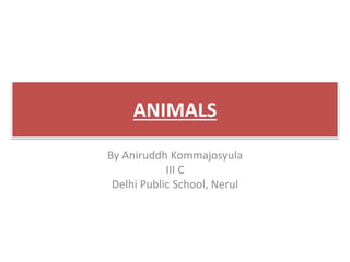 ANIMALS 
By Aniruddh Kommajosyula 
III C 
Delhi Public School, Nerul 
 