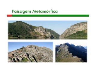 Paisagem Metamórfica 
 