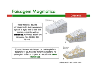 Paisagem Magmática 
Nas fraturas, devido 
principalmente à circulação de 
água e à ação das raízes das 
plantas, o granito vai-se 
alterando, havendo assim um 
desgaste nos bordos dos 
blocos. 
Com o decorrer do tempo, os blocos podem 
desprender-se, ficando de forma aleatória na 
paisagem e dando origem ao aspeto em caos 
de blocos. 
Granítica 
Adaptado de viva a Terra 7– Porto Editora 
 