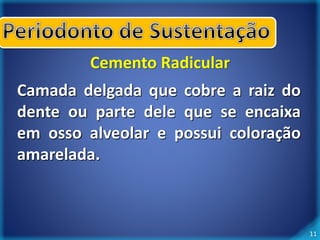 11 
Cemento Radicular 
Camada delgada que cobre a raiz do 
dente ou parte dele que se encaixa 
em osso alveolar e possui coloração 
amarelada. 
 