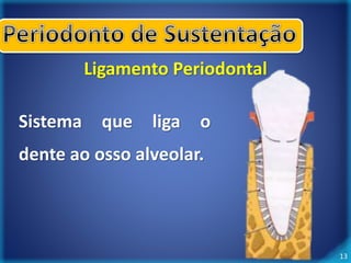 13 
Ligamento Periodontal 
Sistema que liga o 
dente ao osso alveolar. 
 