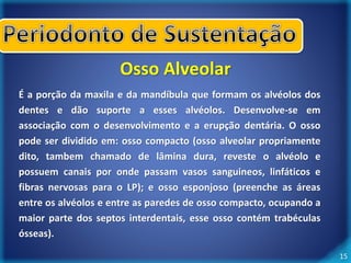 15 
Osso Alveolar 
É a porção da maxila e da mandíbula que formam os alvéolos dos 
dentes e dão suporte a esses alvéolos. Desenvolve-se em 
associação com o desenvolvimento e a erupção dentária. O osso 
pode ser dividido em: osso compacto (osso alveolar propriamente 
dito, tambem chamado de lâmina dura, reveste o alvéolo e 
possuem canais por onde passam vasos sanguineos, linfáticos e 
fibras nervosas para o LP); e osso esponjoso (preenche as áreas 
entre os alvéolos e entre as paredes de osso compacto, ocupando a 
maior parte dos septos interdentais, esse osso contém trabéculas 
ósseas). 
 