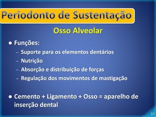 17 
Osso Alveolar 
 Funções: 
– Suporte para os elementos dentários 
– Nutrição 
– Absorção e distribuição de forças 
– Regulação dos movimentos de mastigação 
 Cemento + Ligamento + Osso = aparelho de 
inserção dental 
 