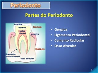 Partes do Periodonto 
• Gengiva 
• Ligamento Periodontal 
• Cemento Radicular 
• Osso Alveolar 
3 
 