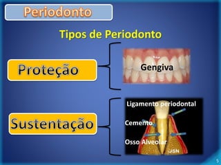 5 
Tipos de Periodonto 
Gengiva 
Ligamento periodontal 
Cemento 
Osso Alveolar 
 