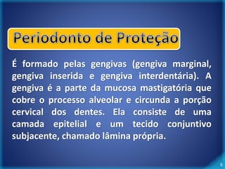 6 
É formado pelas gengivas (gengiva marginal, 
gengiva inserida e gengiva interdentária). A 
gengiva é a parte da mucosa mastigatória que 
cobre o processo alveolar e circunda a porção 
cervical dos dentes. Ela consiste de uma 
camada epitelial e um tecido conjuntivo 
subjacente, chamado lâmina própria. 
 