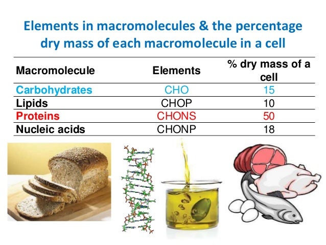 Biology Form Chemical Composition Of The Cell Part 1 Biology Form Chemical Composition Of The Cell Part 1