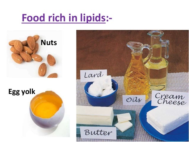 What Foods Contain High Lipids What Foods Contain High Lipids