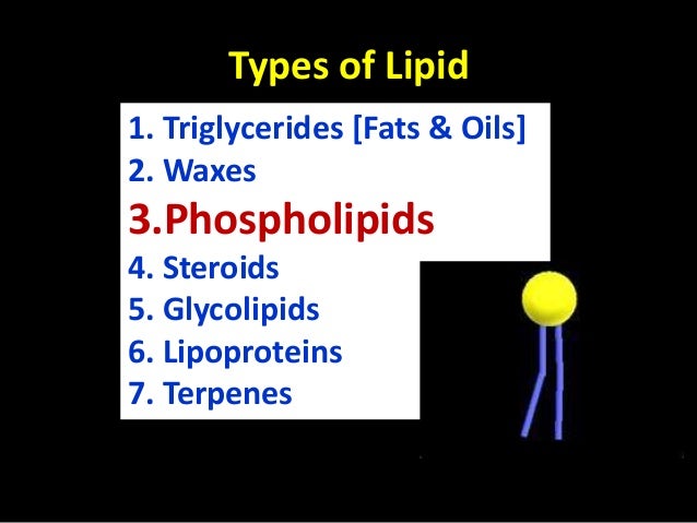 Biology Form 4 Chapter 4