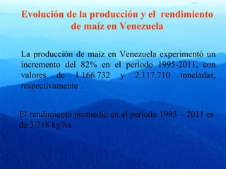 Evolución de la producción y el rendimiento 
de maíz en Venezuela 
La producción de maíz en Venezuela experimentó un 
incremento del 82% en el período 1995-2011, con 
valores de 1.166.732 y 2.117.710 toneladas, 
respectivamente . 
El rendimiento promedio en el periodo 1995 – 2011 es 
de 3.218 kg/ha 
 