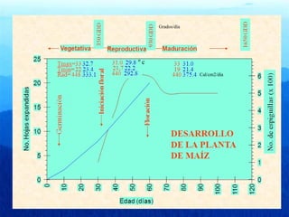 º c 
Cal/cm2/día 
Grados/día 
 