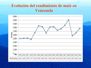 Evolución del rendimiento de maíz en 
Venezuela 
 