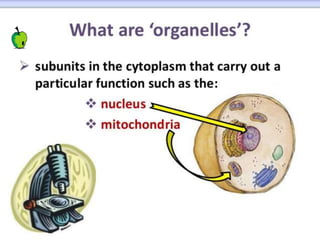 BIOLOGY FORM 4 CHAPTER 2 PART 1 - CELL STRUCTURE | PPTX