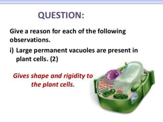 BIOLOGY FORM 4 CHAPTER 2 PART 1 - CELL STRUCTURE