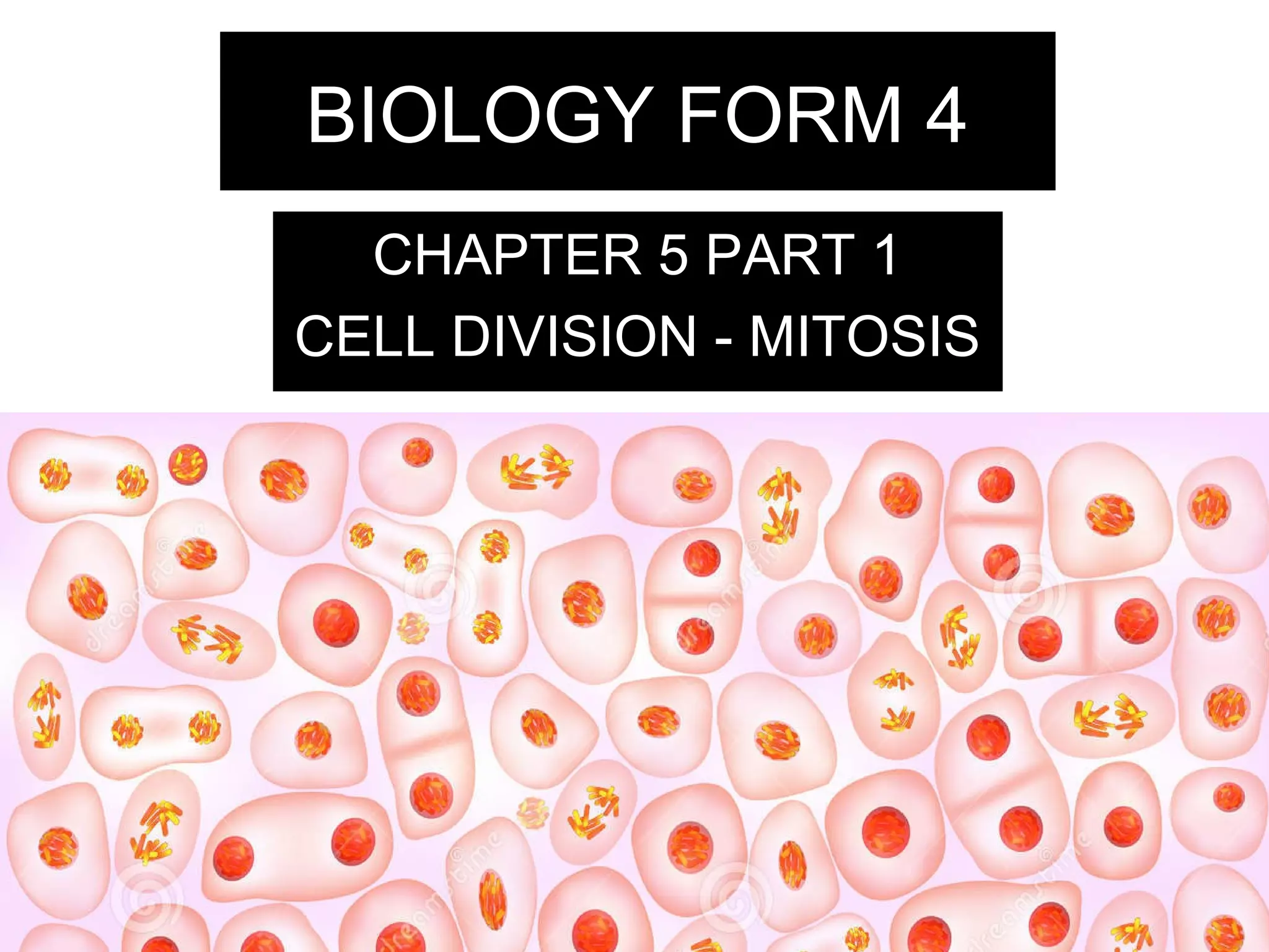 BIOLOGY FORM 4 CHAPTER 5 PART 1 - MITOSIS | PPT