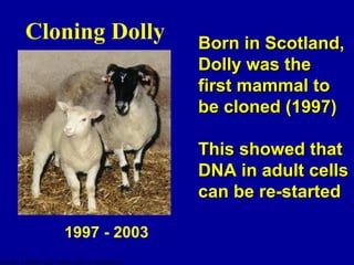 Cloning Dolly 
1997 - 2003 
(Roslin Institute http://www.roslin.ac.uk/library/) 
BBoorrnn iinn SSccoottllaanndd, 
DDoollllyy wwaass tthhee 
ffiirrsstt mmaammmmaall ttoo 
bbee cclloonneedd ((119977)) 
TThhiiss sshhoowweedd tthhaatt 
DDNNAA iinn aadduulltt cceellllss 
ccaann bbee rree--ssttaarrtteedd 
 