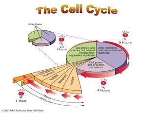 © 2003 John Wiley and Sons Publishers 
 