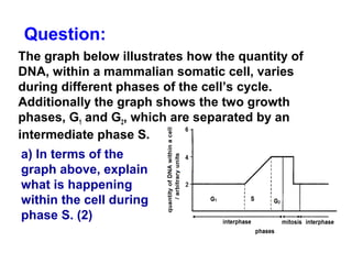 Question: 
The graph below illustrates how the quantity of 
DNA, within a mammalian somatic cell, varies 
during different phases of the cell’s cycle. 
Additionally the graph shows the two growth 
phases, G1 and G2, which are separated by an 
intermediate phase S. 
a) In terms of the 
graph above, explain 
what is happening 
within the cell during 
phase S. (2) 
 