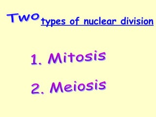 types of nuclear division 
 