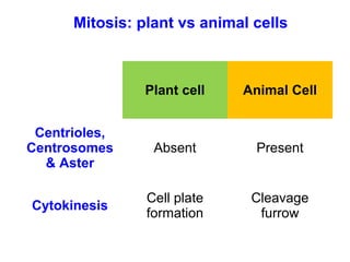 Mitosis: plant vs animal cells 
Plant cell Animal Cell 
Centrioles, 
Centrosomes 
& Aster 
Absent Present 
Cytokinesis Cell plate 
formation 
Cleavage 
furrow 
 
