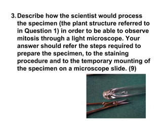 3.Describe how the scientist would process 
the specimen (the plant structure referred to 
in Question 1) in order to be able to observe 
mitosis through a light microscope. Your 
answer should refer the steps required to 
prepare the specimen, to the staining 
procedure and to the temporary mounting of 
the specimen on a microscope slide. (9) 
 