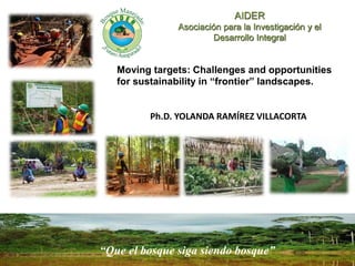 Moving targets: Challenges and opportunities for sustainability in “frontier” landscapes